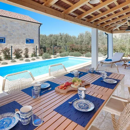 Papa's Court Iii With Pool *