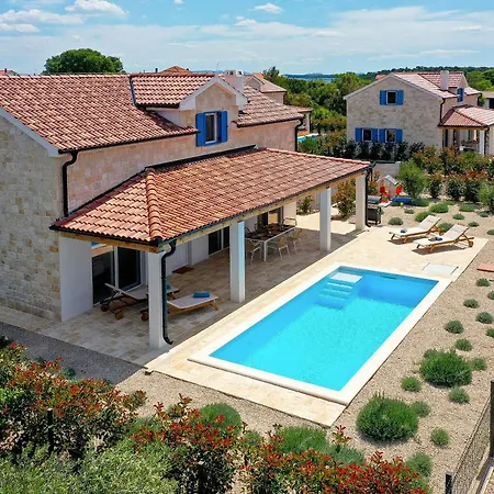 Papa's Court Iii With Pool *